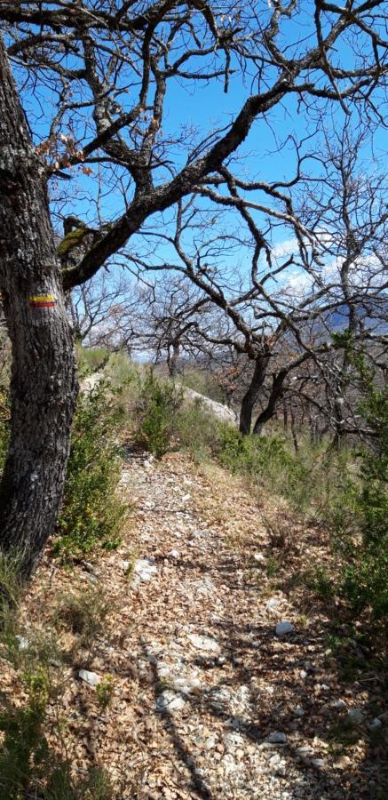 Gites Les Costoliers Châteauneuf-Miravail Екстериор снимка