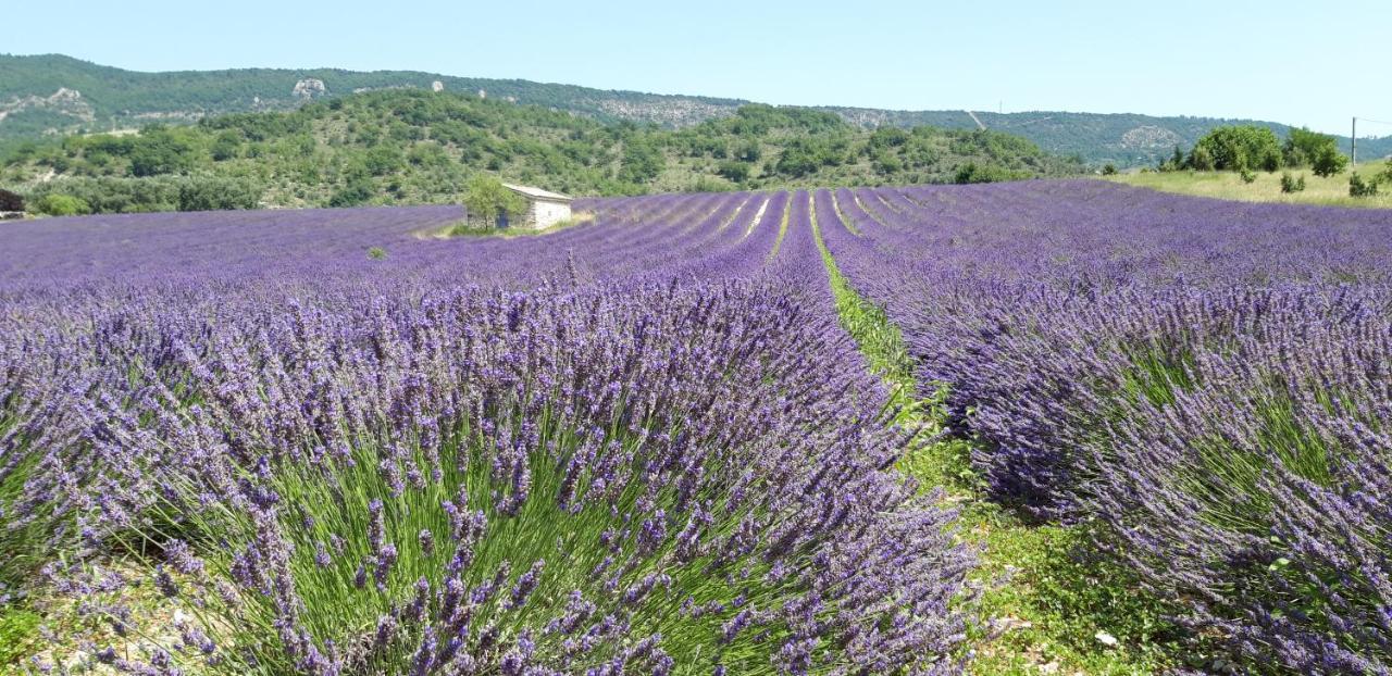 Gites Les Costoliers Châteauneuf-Miravail Екстериор снимка