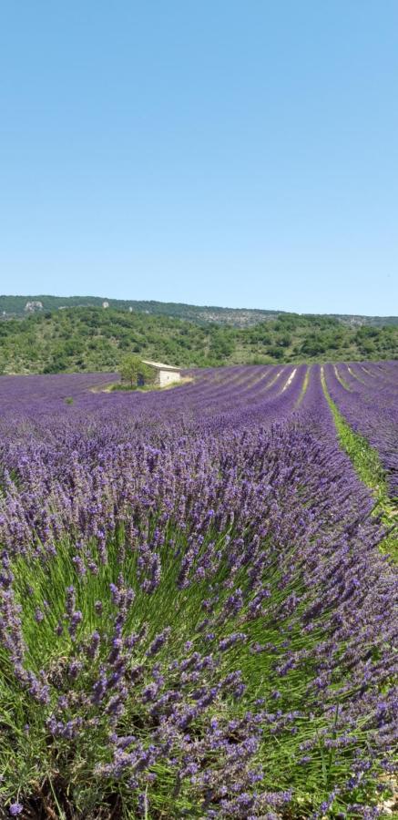 Gites Les Costoliers Châteauneuf-Miravail Екстериор снимка